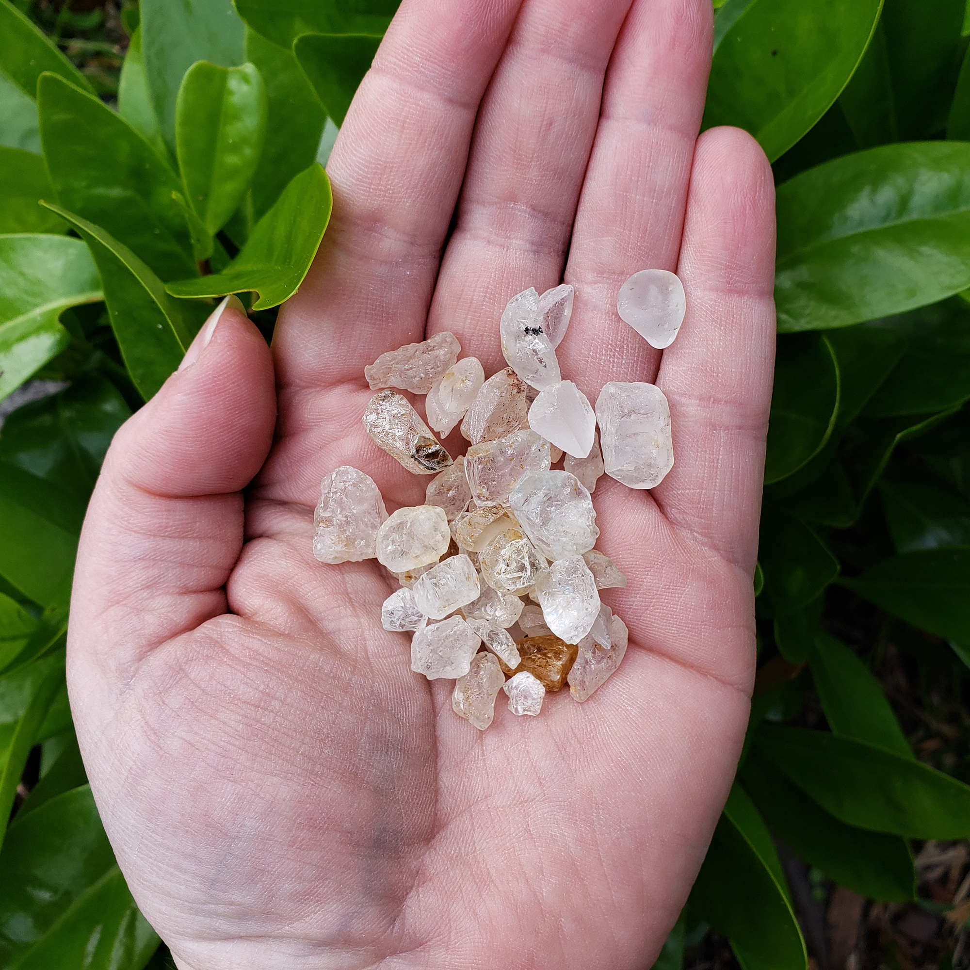 Multi Topaz Raw Crystals Rough Gemstones by the Ounce