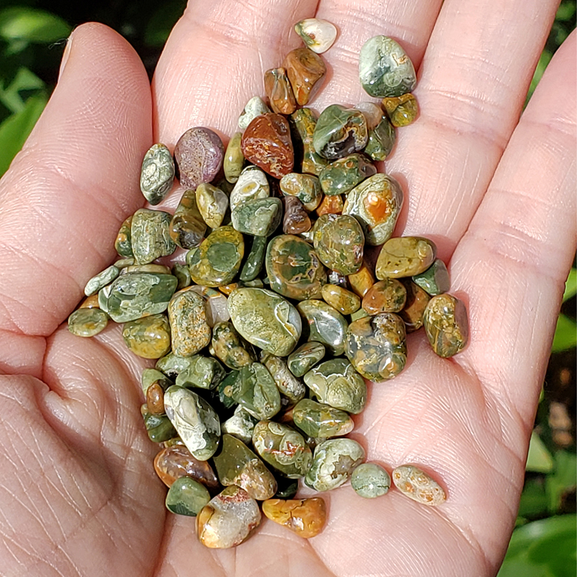 Rhyolite Rock Natural Gemstone Crystal Chips By the Bag - 5