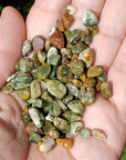 Rhyolite Rock Natural Gemstone Crystal Chips By the Bag - 5