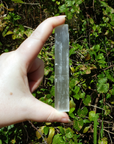 Rough Selenite Crystal Rough Stick - One 3.75 Inch Stick - Outdoor Light