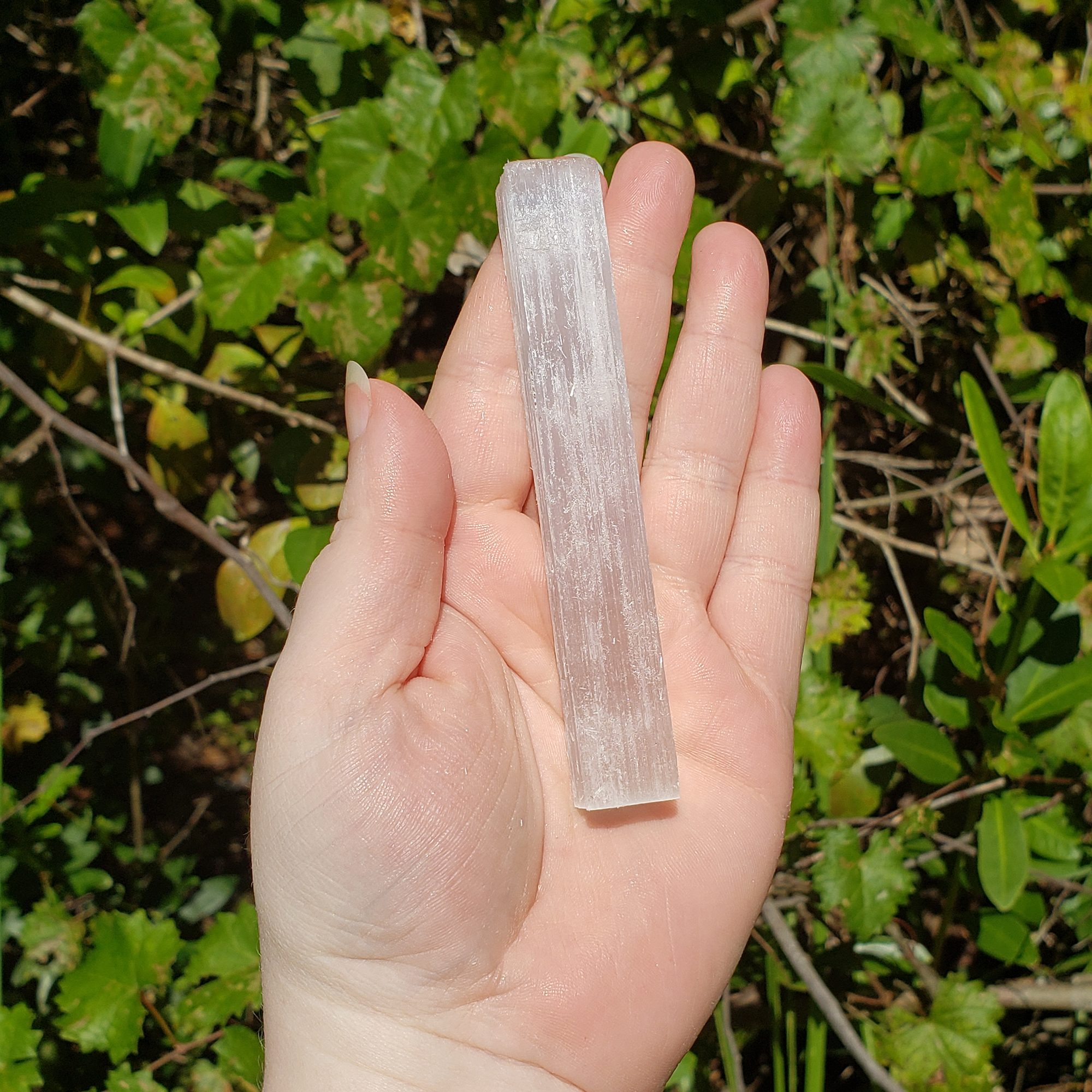 Small Selenite Natural Crystal Rough Stick - One 3.75 Inch Stick