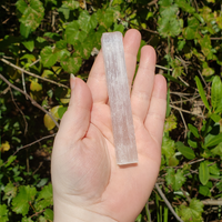 Small Selenite Crystal Rough Stick - One 3.75 Inch Stick