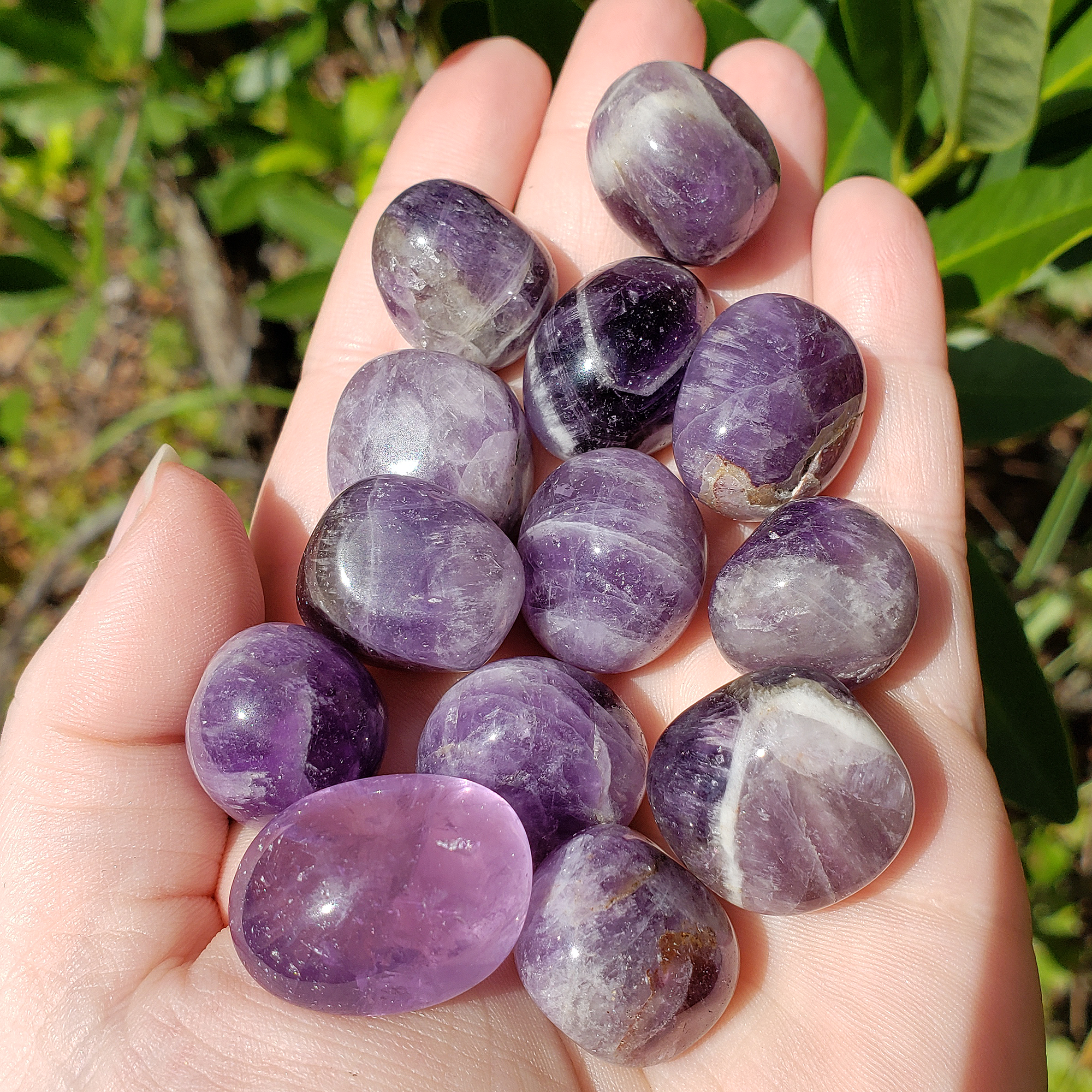 Indian Amethyst Natural Tumbled Crystal - One Stone - Bright Sunlight