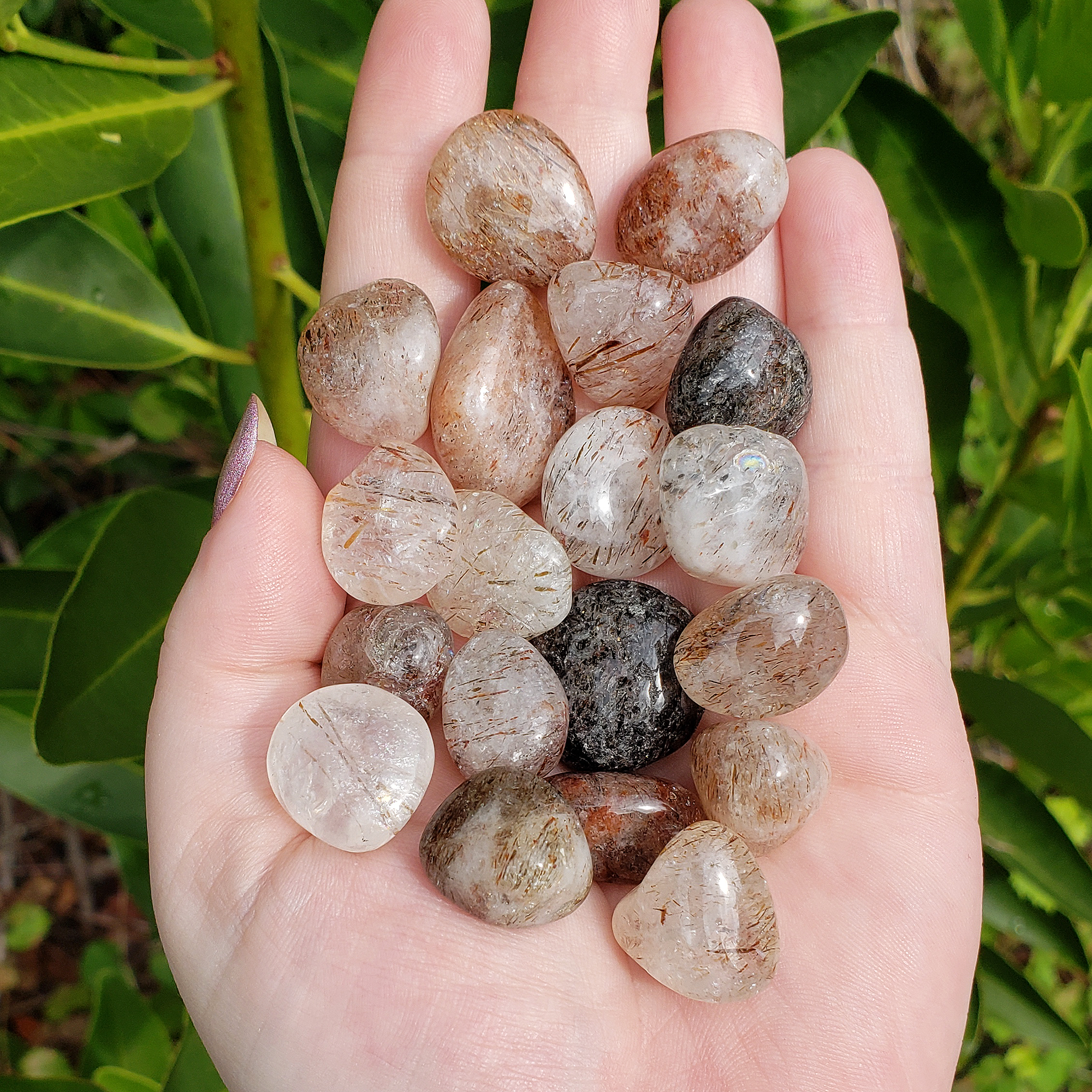 Rutilated Quartz Crystal Natural Gemstone Tumbled Stone - in Sunlight