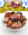 Agatized Wood Natural Tumbled Gemstone