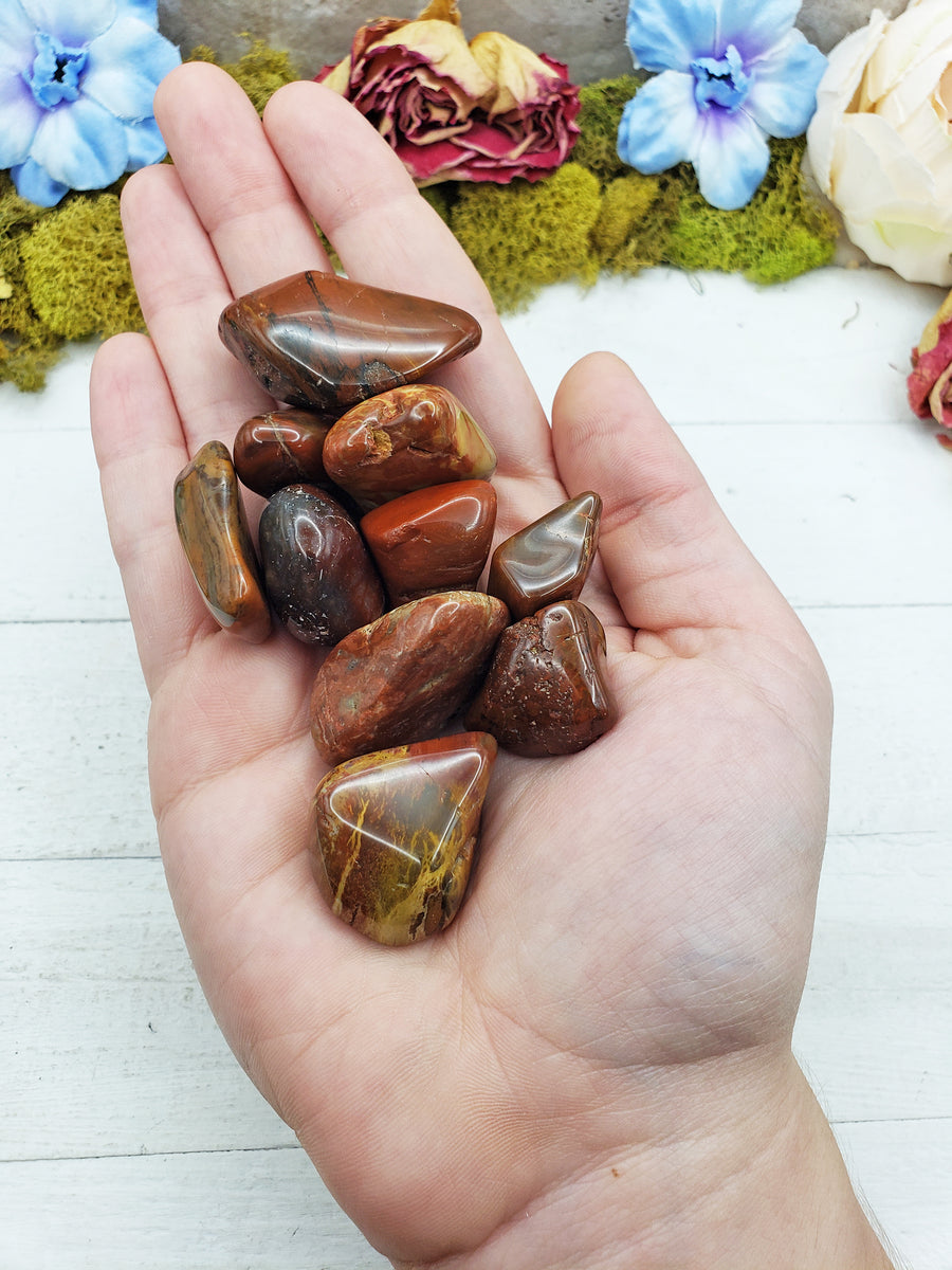 red agatized wood stones in hand