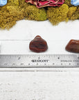 red agatized wood stones by ruler