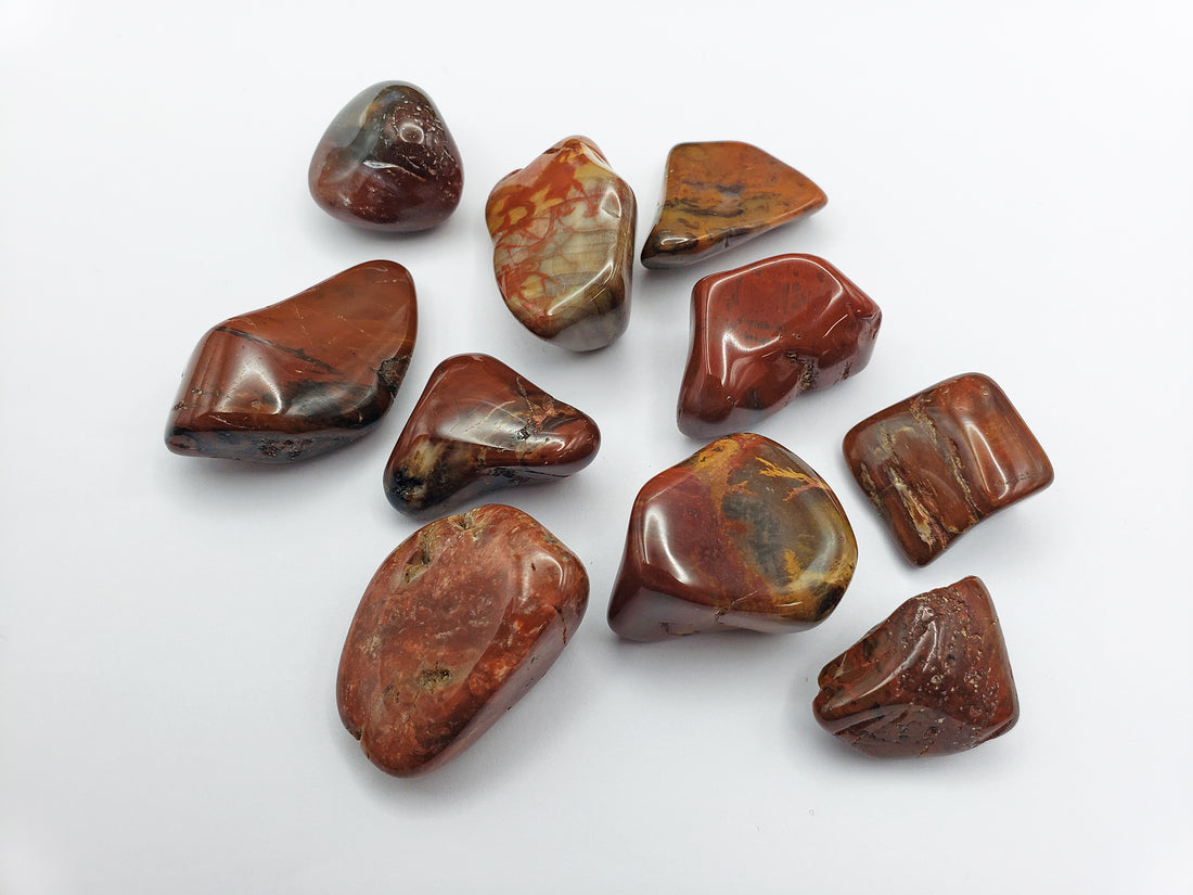 red agatized wood stones on white background