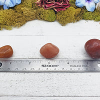 red aventurine crystals on ruler
