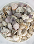 Cactus Quartz & Spirit Amethyst Crystal Mix Natural Semi-Tumbled Stones - In White Ceramic Dish