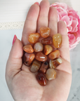 Carnelian Crystal Natural Gemstone Tumbled Stone | SMALL - 3