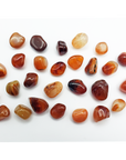 Carnelian Crystal Natural Gemstone Tumbled Stone | SMALL - 7