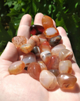 Carnelian Crystal Natural Gemstone Tumbled Stone | SMALL - 8