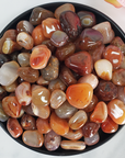 Carnelian Crystal Natural Gemstone Tumbled Stone | SMALL