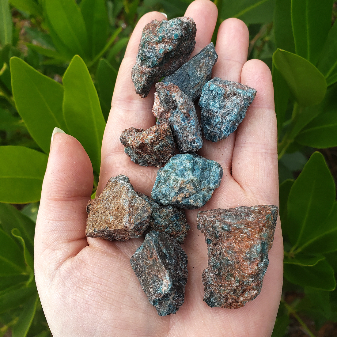 Blue Apatite Natural Raw Crystal Rough Gemstone - Small