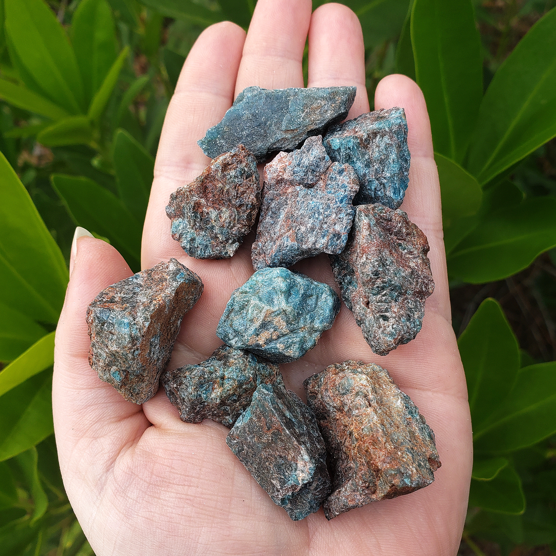Blue Apatite Natural Raw Crystal Rough Gemstone - Small - Outdoor Photo