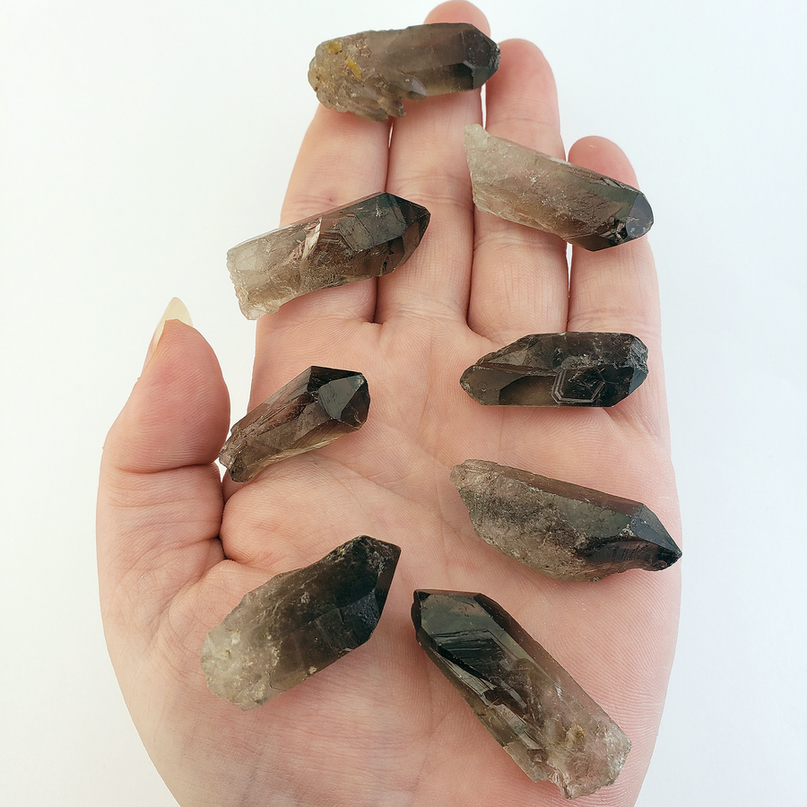 Smoky Quartz Raw Crystal Point - Small - In Hand White Background