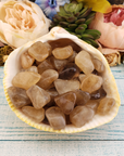 Smoky Quartz & Natural Citrine Tumbled Stone - One Stone - In Shell