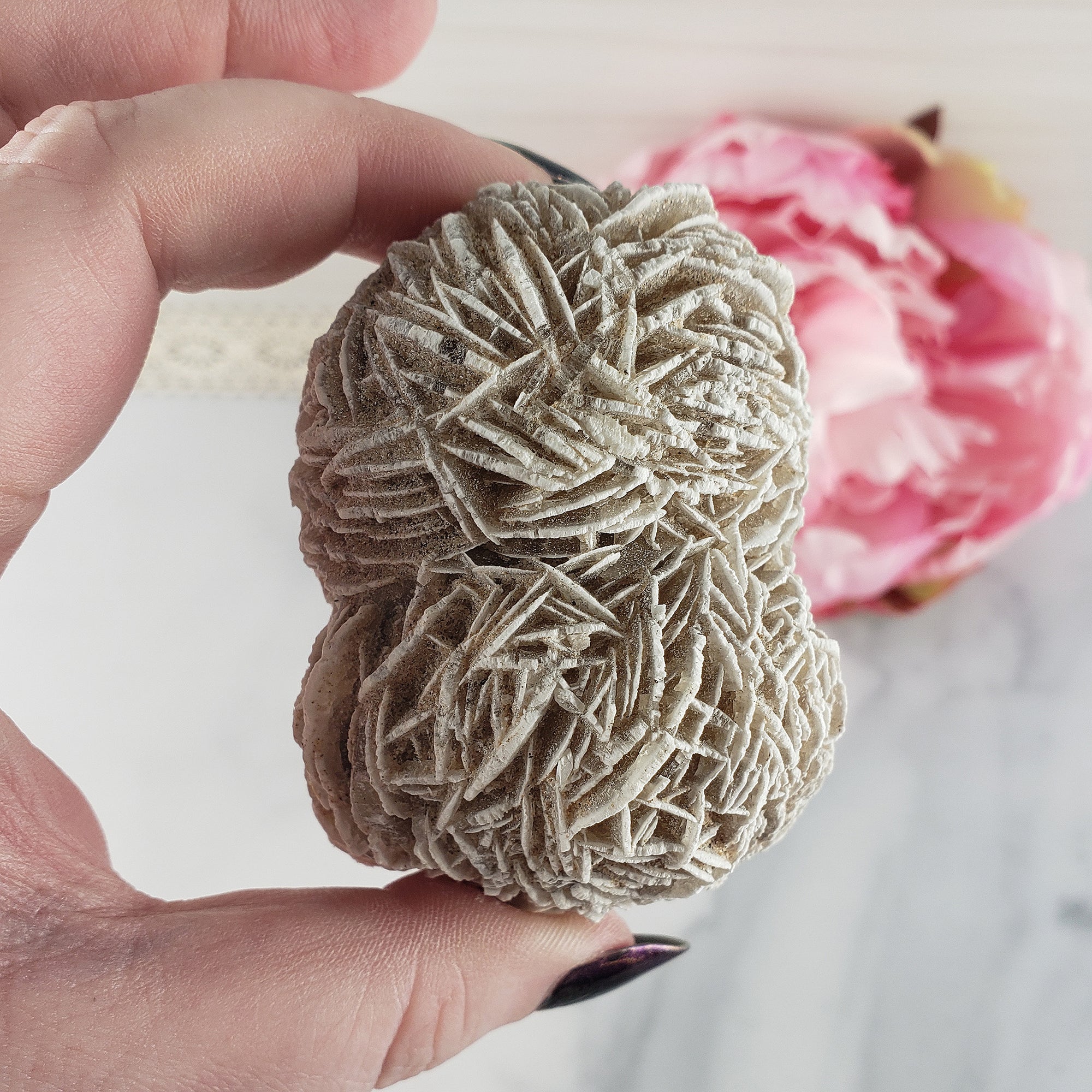 Unique Desert Rose Selenite Crystal Cluster Heat Treated Rough Mineral Formation | Sprig