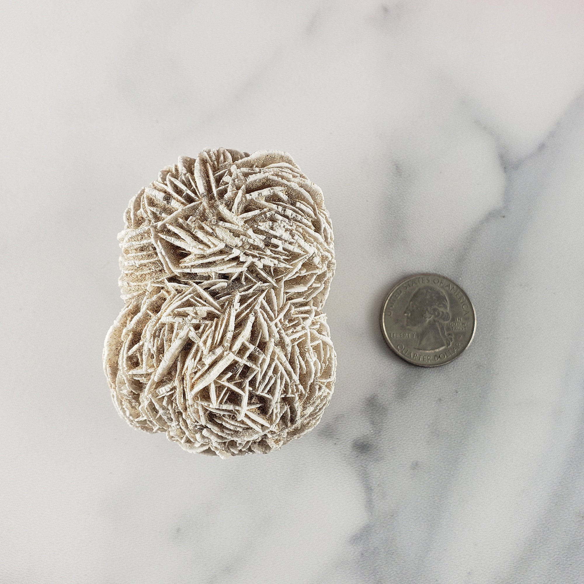 Unique Desert Rose Selenite Crystal Cluster Heat Treated Rough Mineral Formation | Sprig - 5