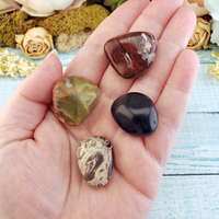 Stress Relief & Peace - Set of Four Tumbled Stones with Pouch - Black Agate Green Aragonite Red Agatized Wood Palm Root Fossil Petrified Wood