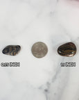 Fossilized Stromatolite Stone Natural Organic Gemstone Freeform Tumbled Stone | Multiple Sizes - 5