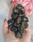 Fossilized Stromatolite Stone Natural Organic Gemstone Freeform Tumbled Stone | Multiple Sizes - 1