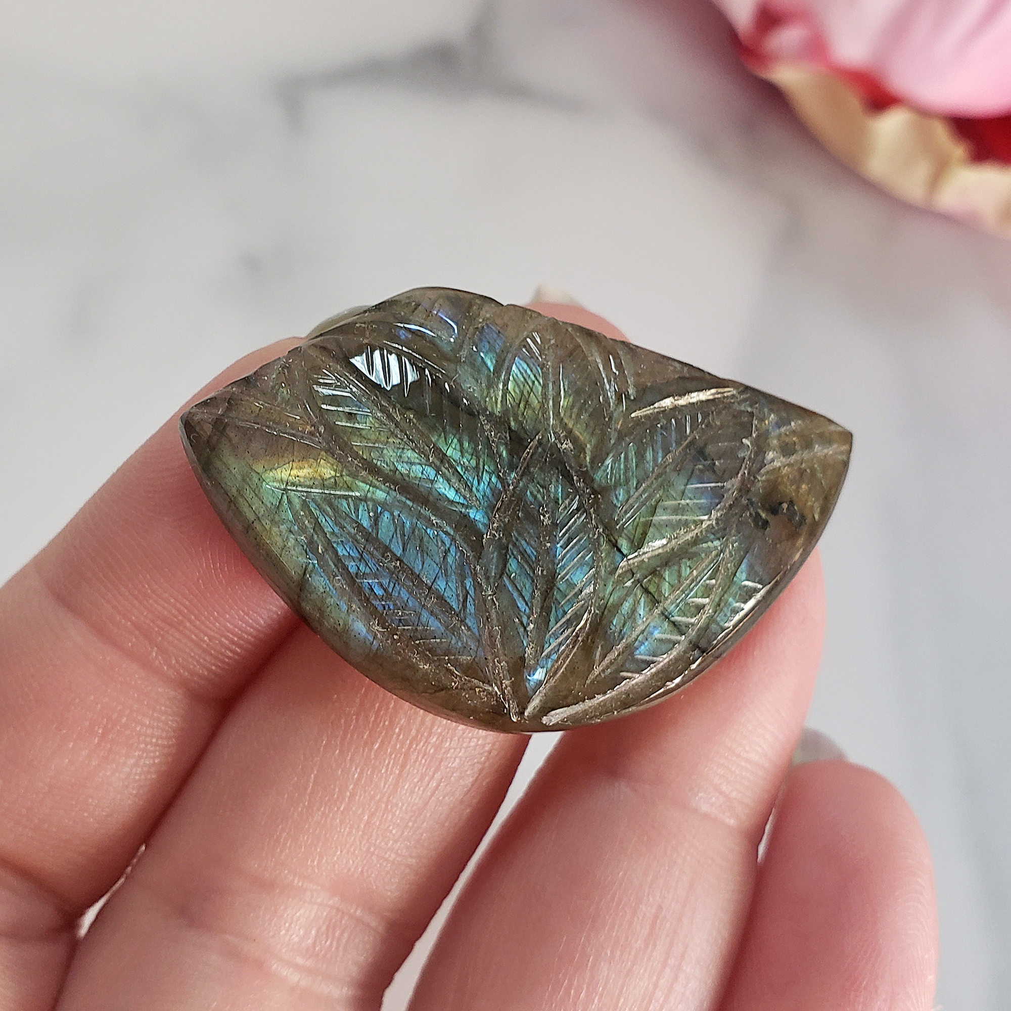 Unique 50 Carat Labradorite Cabochon Natural Gemstone Carving - Succulent - Close Up 3