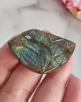 Unique 50 Carat Labradorite Cabochon Natural Gemstone Carving - Succulent - Close Up 3