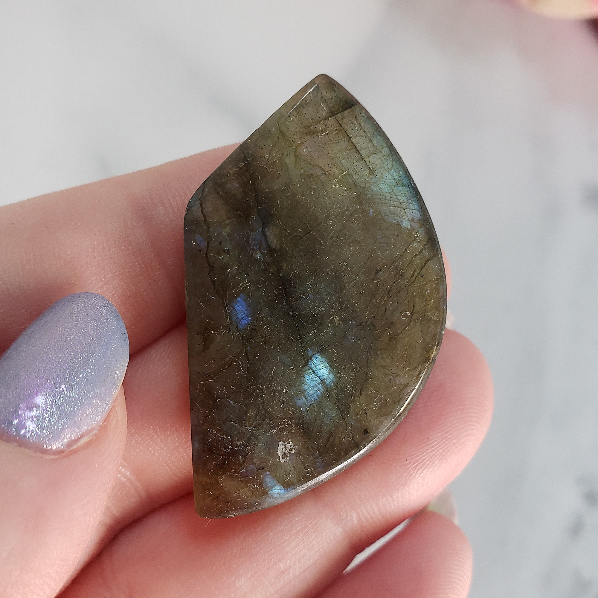 Unique 50 Carat Labradorite Cabochon Natural Gemstone Carving - Succulent - Back of Cabochon