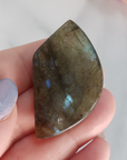 Unique 50 Carat Labradorite Cabochon Natural Gemstone Carving - Succulent - Back of Cabochon