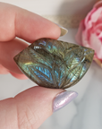 Unique 50 Carat Labradorite Cabochon Natural Gemstone Carving - Succulent - Close Up