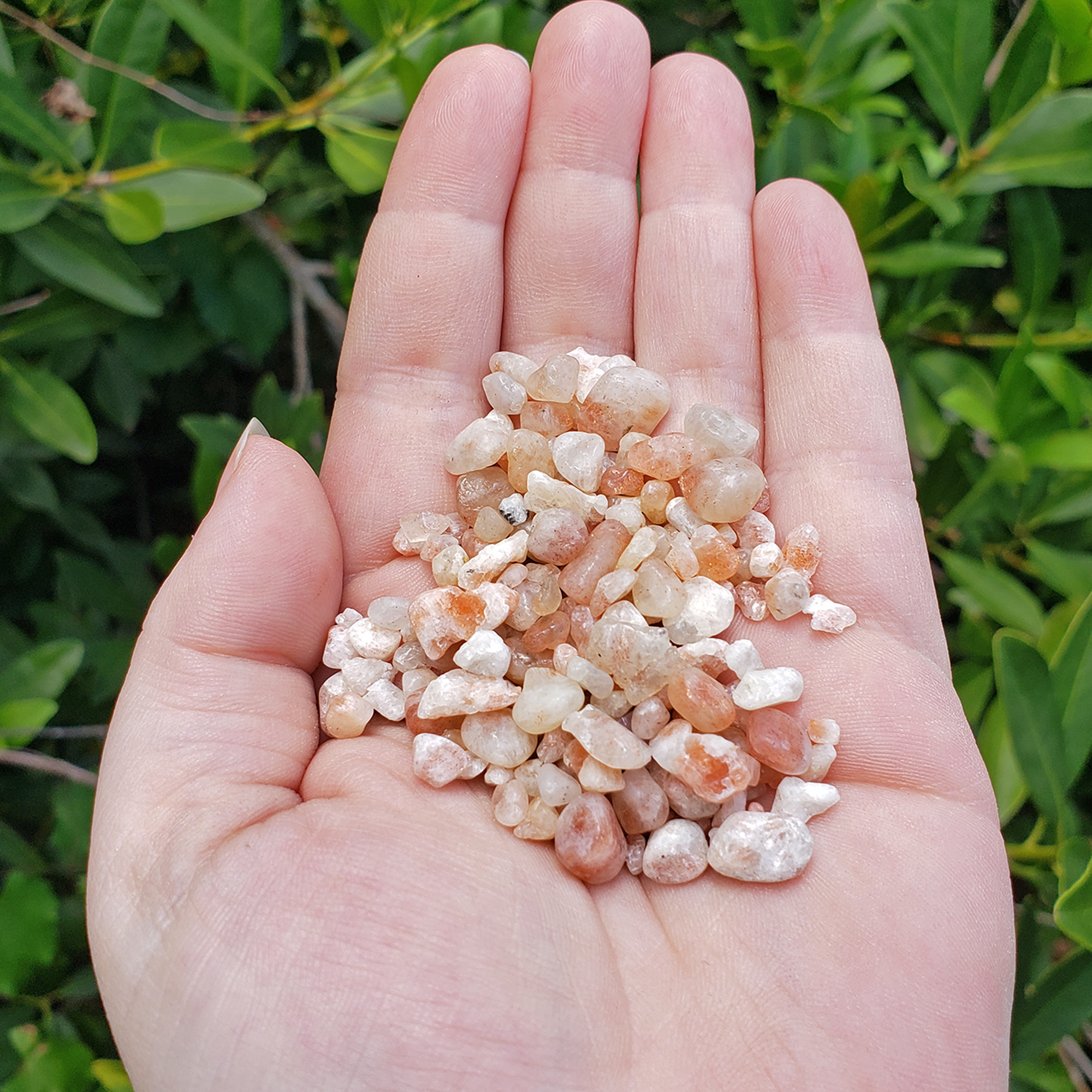 Sunstone Crystal Natural Gemstone Chips By the Ounce - In Bright Sunlight