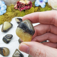 septarian stone between fingers