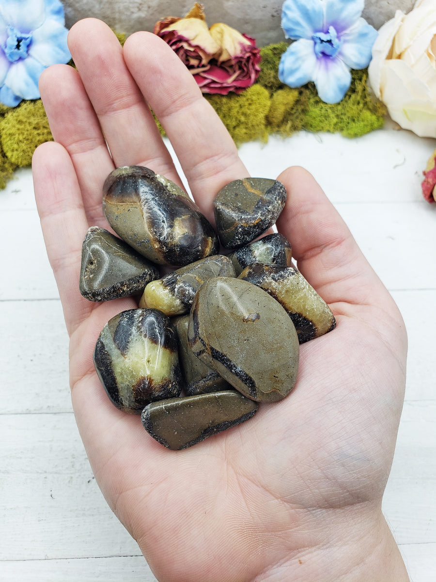 septarian stones in hand