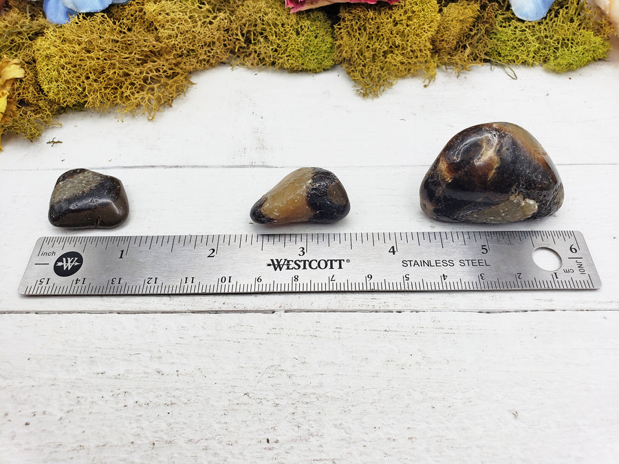 septarian stones by ruler