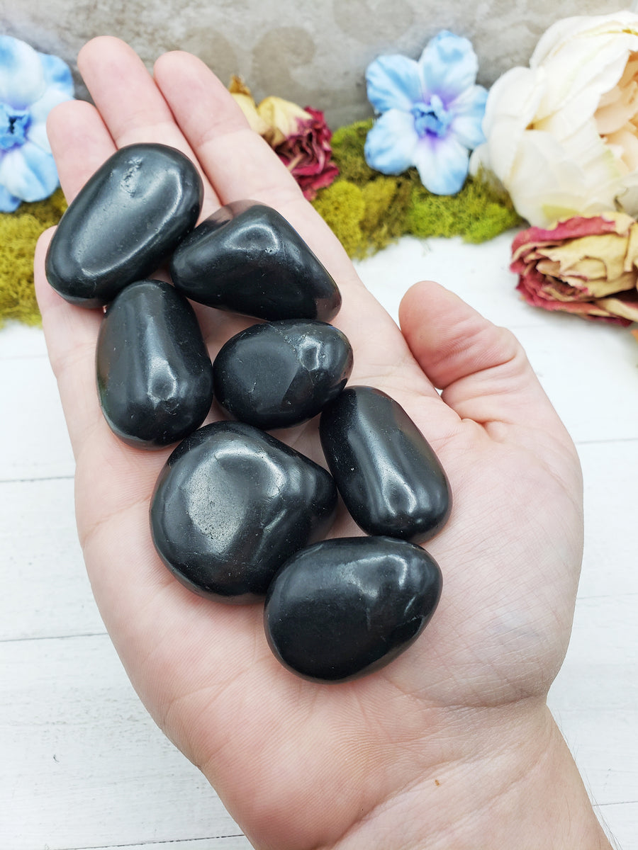 shungite stones in hand