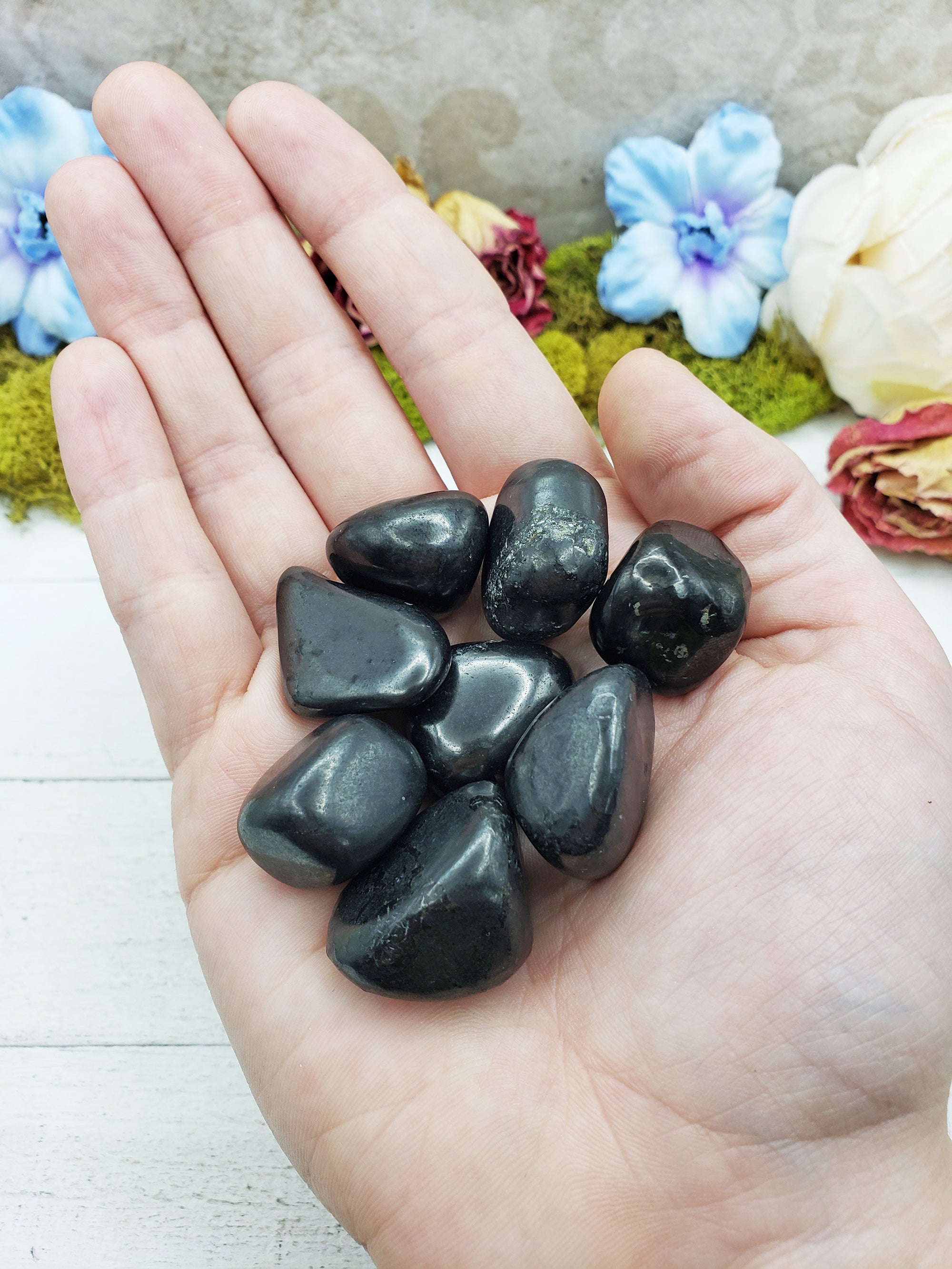 shungite stones in hand