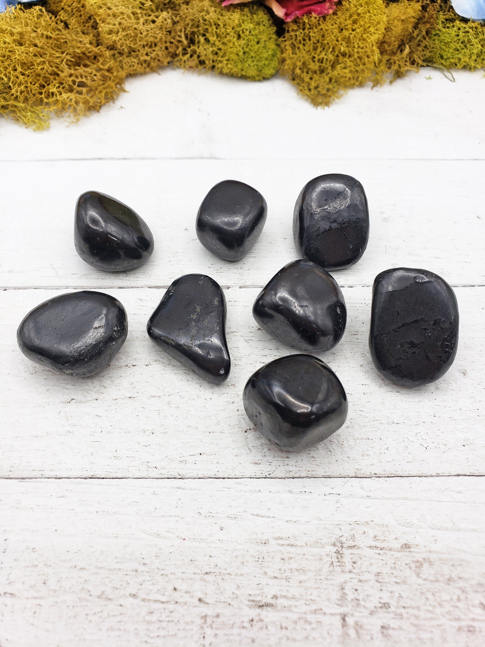 shungite stones on board