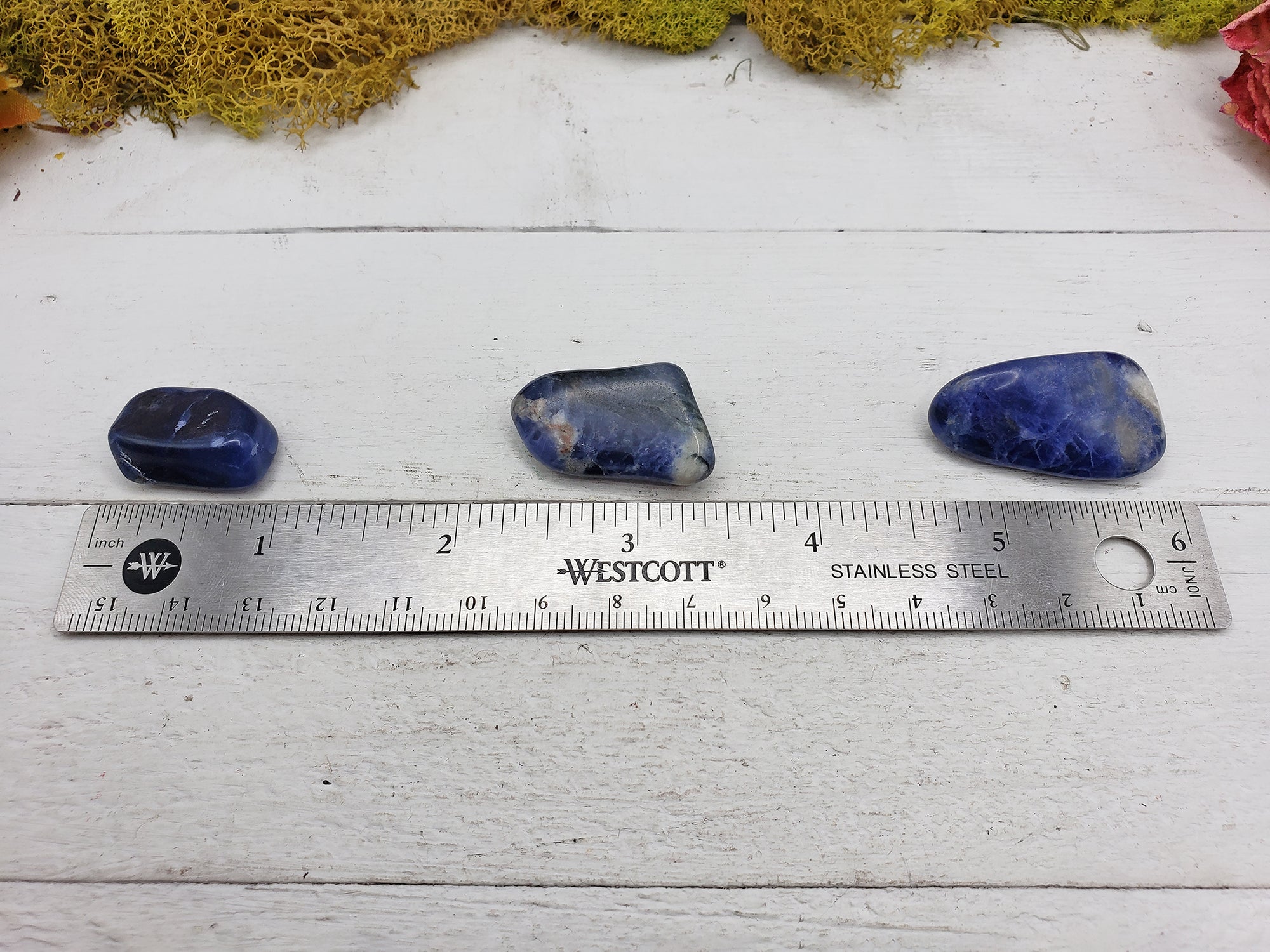 ruler comparing size of 3 tumbled sodalite crystals