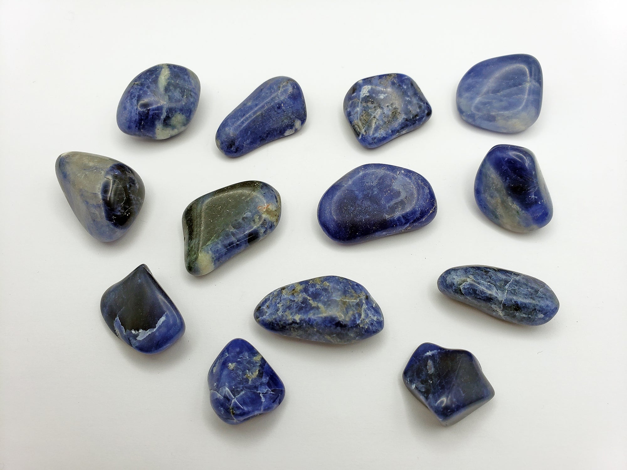 tumbled sodalite on white background