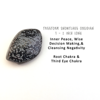 Divination Care Package Gift Set - Perfect for Tarot Cards or Runes - Snowflake Obsidian Tumbled Stone