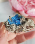 Unique Cavansite Crystal Cluster with White Stilbite in Basalt Matrix Natural Mineral Formation | Terpsichore - 2