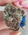 Unique Cavansite Crystal Cluster with White Stilbite in Basalt Matrix Natural Mineral Formation | Terpsichore - 3