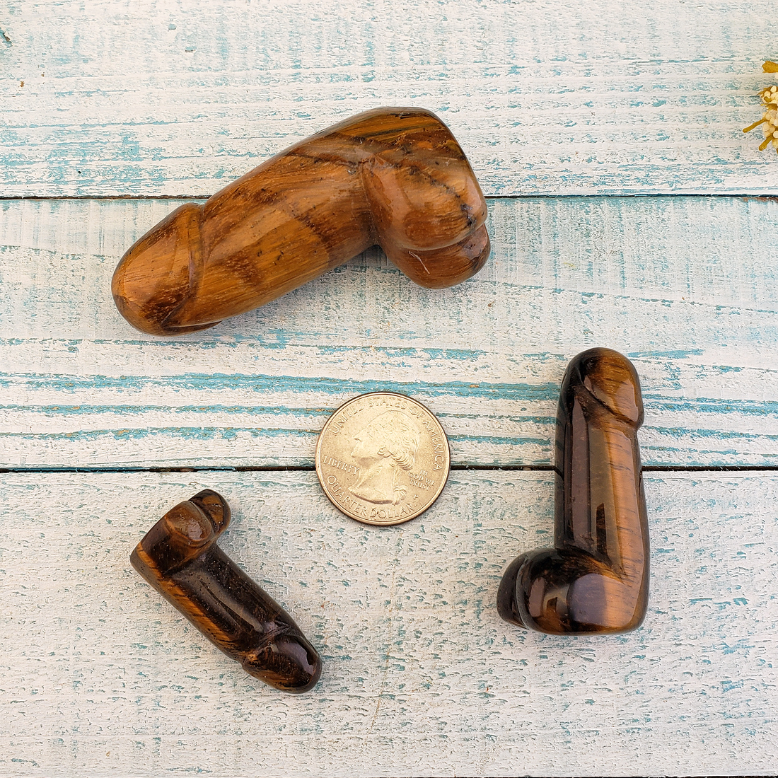 Big Dick Energy - Tigers Eye Crystal Penis Power Totem Gift Box - Size Compared to Quarter