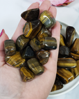 Tigers Eye Stone Natural Crystal Freeform Tumbled Stone | One Stone | Multiple Sizes - 3