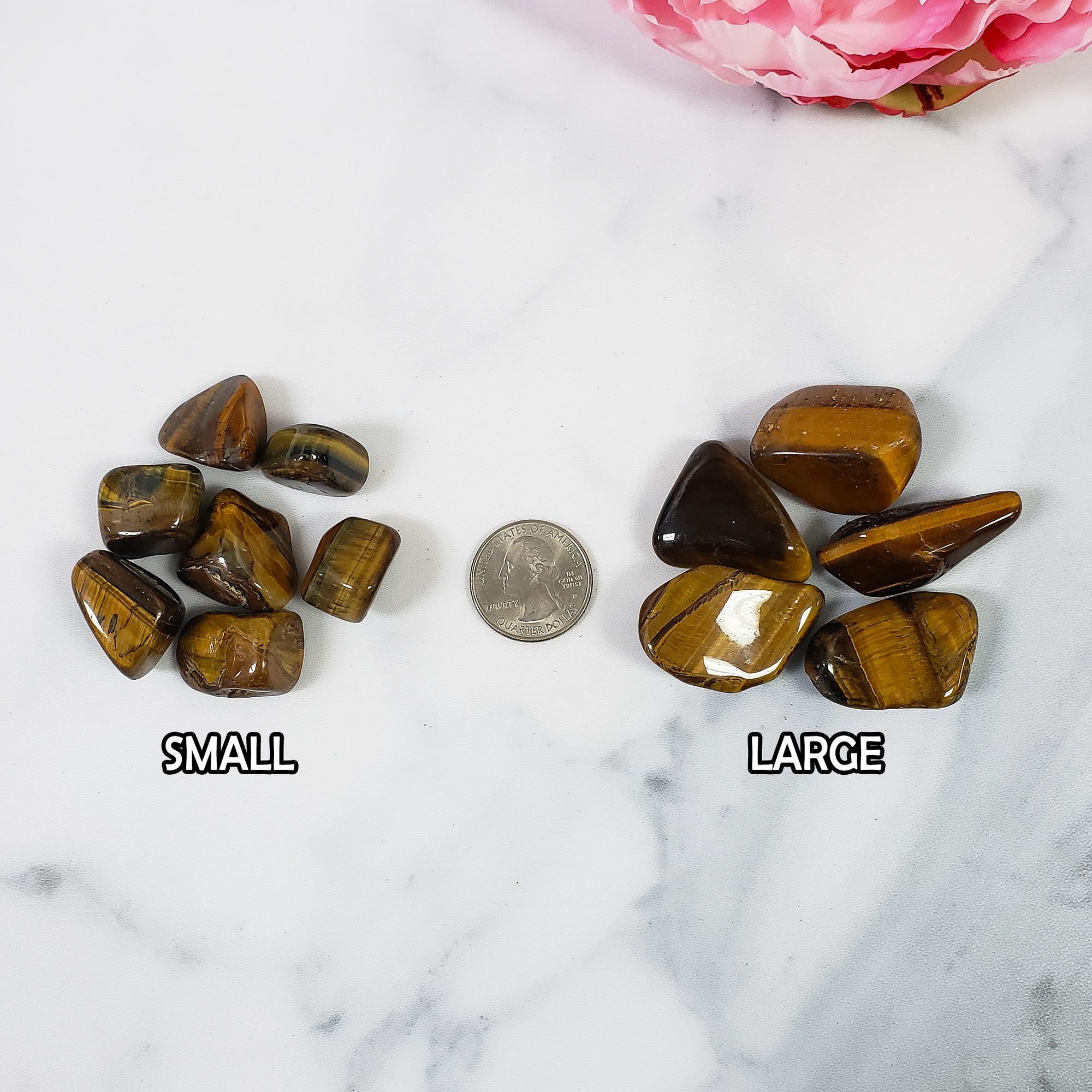 Tigers Eye Stone Natural Crystal Freeform Tumbled Stone | One Stone | Multiple Sizes - 4