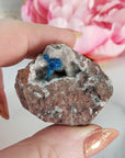 Unique Cavansite Crystal Cluster with White Stilbite in Basalt Matrix Natural Mineral Formation | Frigg