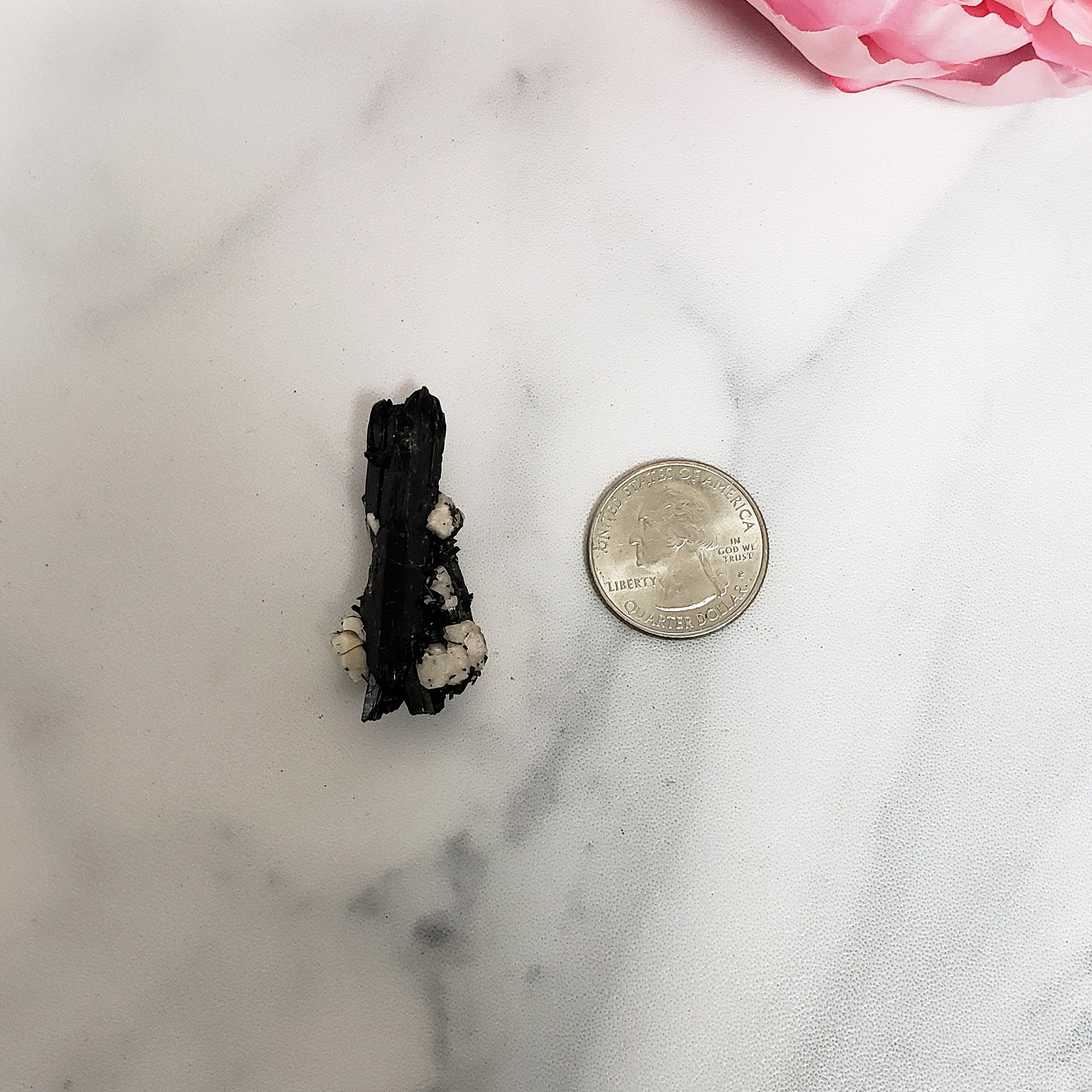 Unique Aegirine Crystal in Feldspar Natural Mineral Formation | Valor