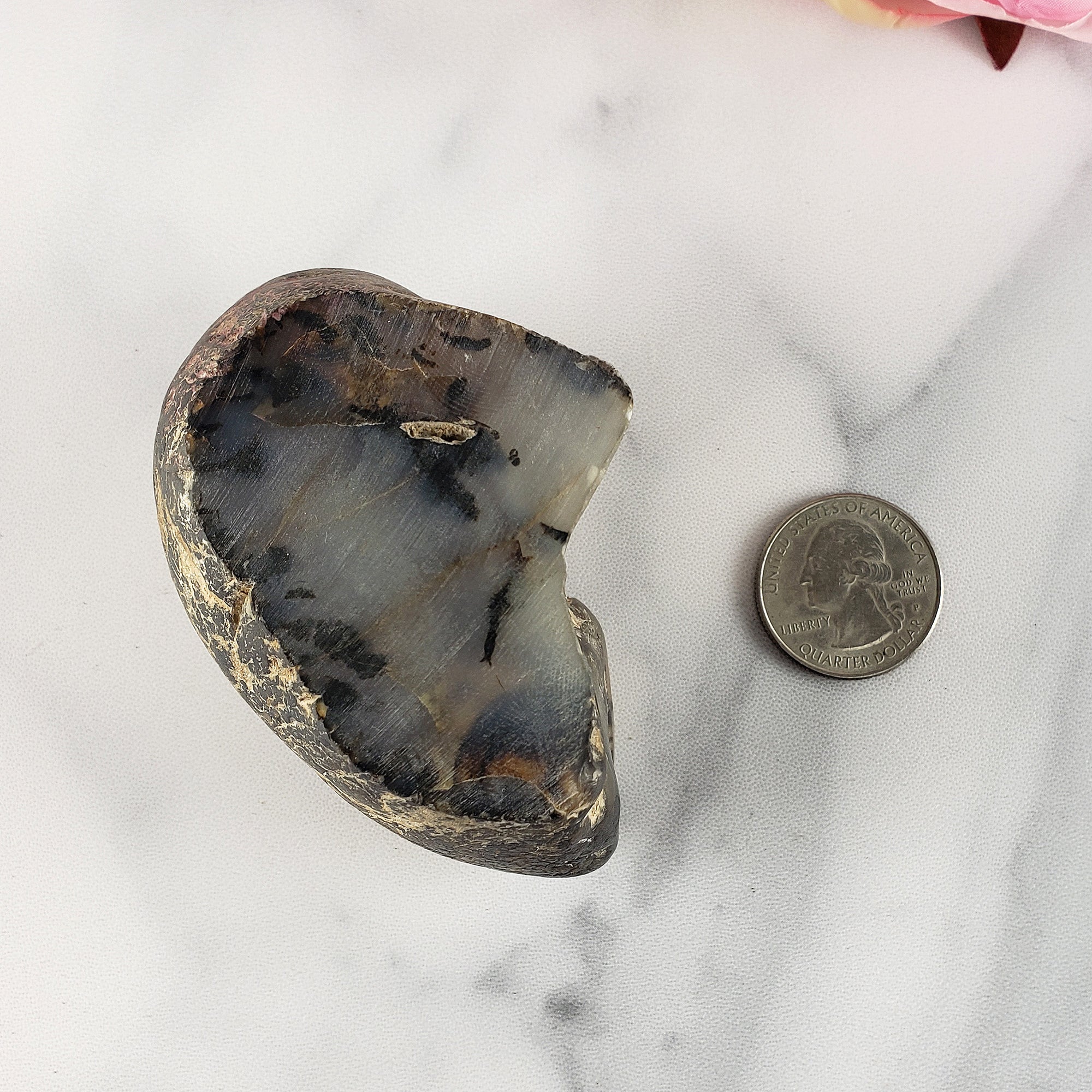 Unique Jumbo Dendritic Agate Crystal Natural Freeform Gemstone |  Veil - 5